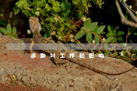 逾期对工作和影响 逾期对工作和影响
