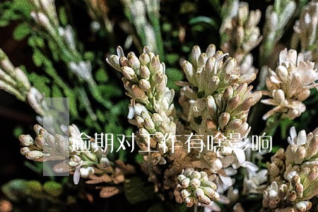 逾期对工作有啥影响 逾期对工作有啥影响