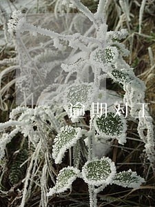 逾期对工作有影响吗 逾期对工作有影响吗