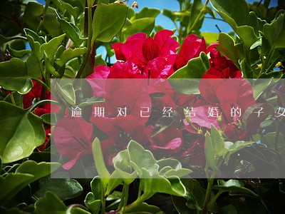 逾期对已经结婚的子女有影响吗 逾期对已经结婚的子女有影响吗