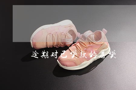 逾期对已贷款的房贷 逾期对已贷款的房贷