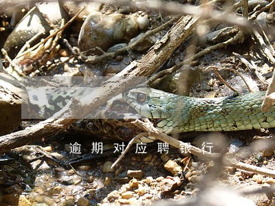 逾期对应聘银行 逾期对应聘银行