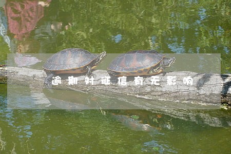 逾期对征信有无影响 逾期对征信有无影响