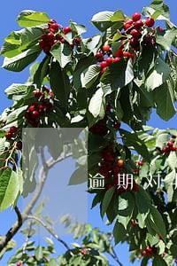逾期对抵押人征信有影响吗 逾期对抵押人征信有影响吗