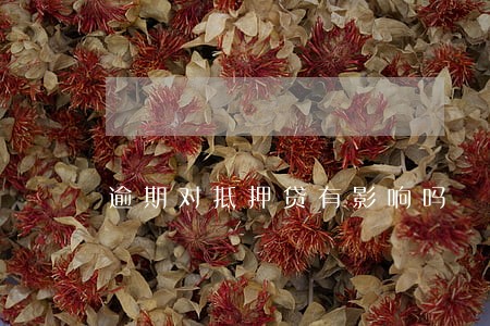 逾期对抵押贷有影响吗 逾期对抵押贷有影响吗