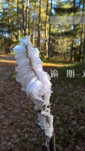 逾期对担保人征信有影响吗 逾期对担保人征信有影响吗