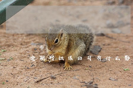 逾期对担保公司有什么影响 逾期对担保公司有什么影响