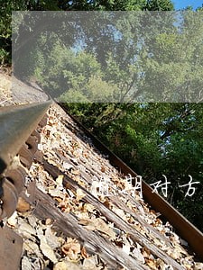 逾期对方不履行合同 逾期对方不履行合同