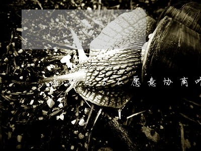 逾期对方不愿意协商咋办