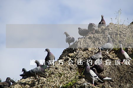 逾期对方会违约那应该取消合同吗 逾期对方会违约那应该取消合同吗