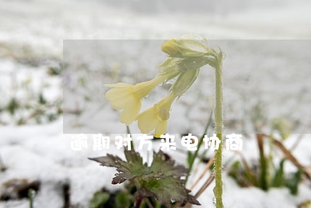 逾期对方来电协商 逾期对方来电协商