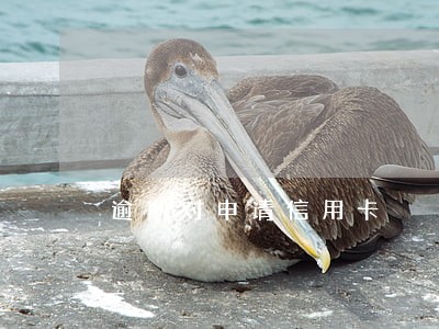 逾期对申请信用卡 逾期对申请信用卡