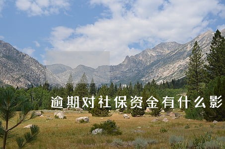 逾期对社保资金有什么影响 逾期对社保资金有什么影响
