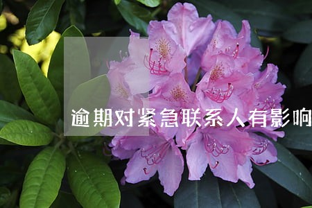 逾期对紧急联系人有影响吗 逾期对紧急联系人有影响吗