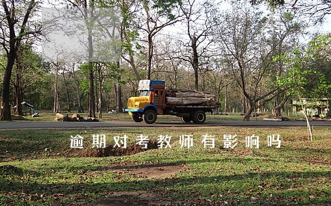 逾期对考教师有影响吗 逾期对考教师有影响吗