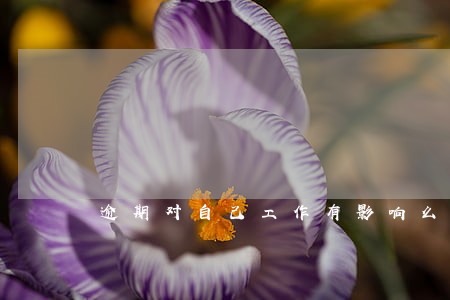 逾期对自己工作有影响么 逾期对自己工作有影响么