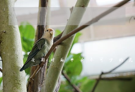 逾期对账单必不可少的几要素 逾期对账单必不可少的几要素