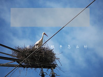 逾期对账单怎么补 逾期对账单怎么补