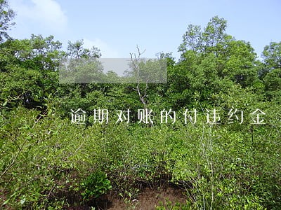 逾期对账的付违约金