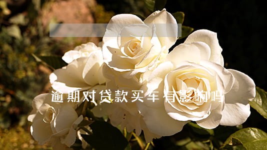 逾期对贷款买车有影响吗 逾期对贷款买车有影响吗