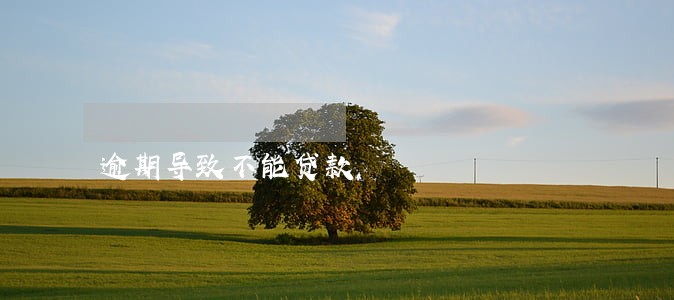 逾期导致不能贷款 逾期导致不能贷款