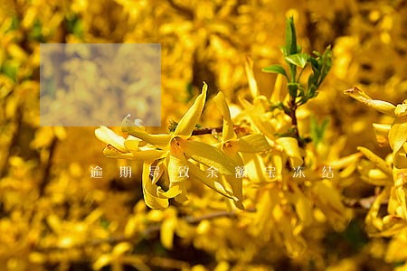 逾期导致余额宝冻结 逾期导致余额宝冻结