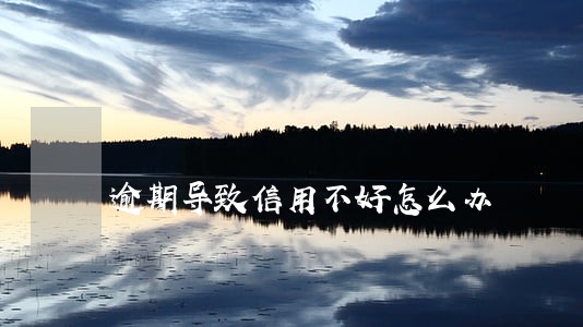 逾期导致信用不好怎么办 逾期导致信用不好怎么办
