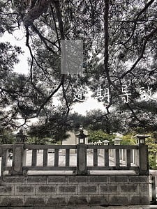 逾期导致信用卡被停怎么解 逾期导致信用卡被停怎么解