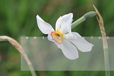 逾期导致借款平台不放款了 逾期导致借款平台不放款了