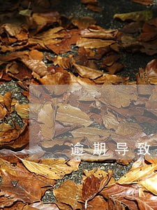 逾期导致借记卡止付怎么弄 逾期导致借记卡止付怎么弄