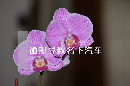 逾期导致名下汽车 逾期导致名下汽车