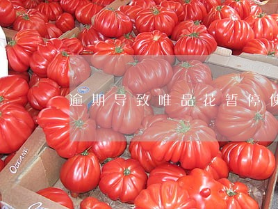 逾期导致唯品花暂停使用怎么办 逾期导致唯品花暂停使用怎么办
