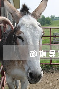 逾期导致小白信用分降低 逾期导致小白信用分降低