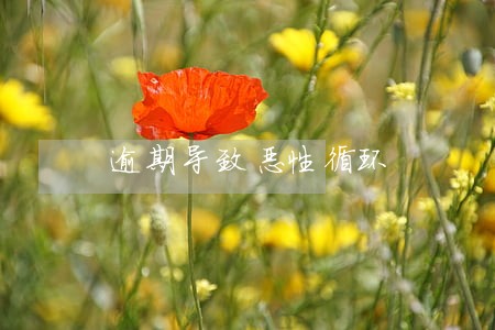逾期导致恶性循环 逾期导致恶性循环