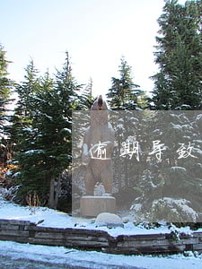 逾期导致智能货柜不可用 逾期导致智能货柜不可用