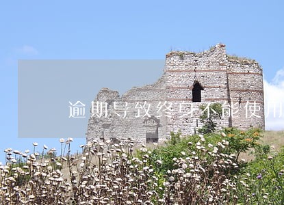 逾期导致终身不能使用信用卡 逾期导致终身不能使用信用卡
