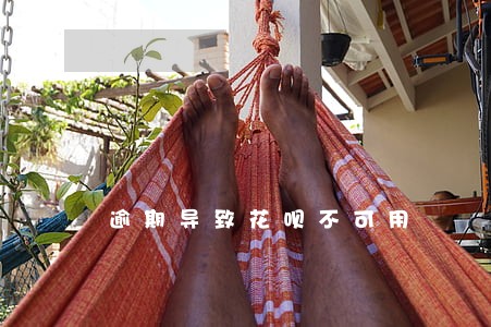 逾期导致花呗不可用 逾期导致花呗不可用