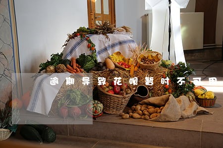 逾期导致花呗暂时不可用 逾期导致花呗暂时不可用