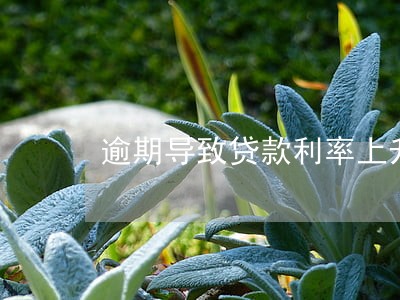 逾期导致贷款利率上升 逾期导致贷款利率上升