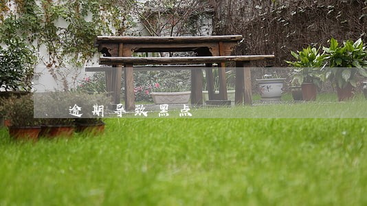 逾期导致黑点 逾期导致黑点
