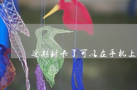 逾期封卡了可以在手机上查询吗 逾期封卡了可以在手机上查询吗