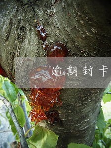 逾期封卡了属于注销了吗 逾期封卡了属于注销了吗