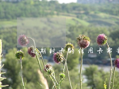 逾期封卡的信用卡需要注销吗 逾期封卡的信用卡需要注销吗