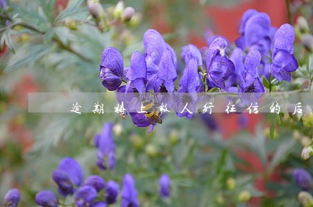 逾期将上报人行征信的后果 逾期将上报人行征信的后果