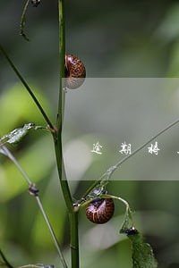逾期将上报是什么意思