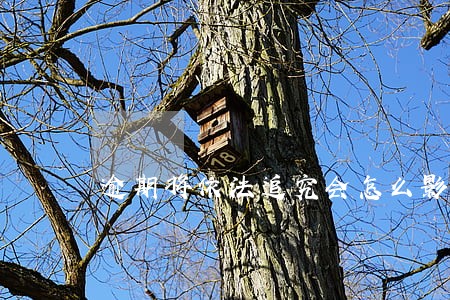 逾期将依法追究会怎么影响 逾期将依法追究会怎么影响