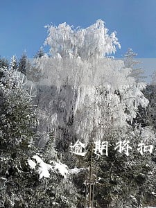 逾期将扣除相应金额这句话对吗