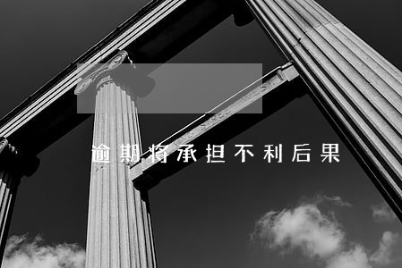 逾期将承担不利后果