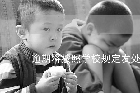 逾期将按照学校规定发处分 逾期将按照学校规定发处分