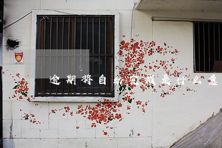 逾期将自动完成是什么意思